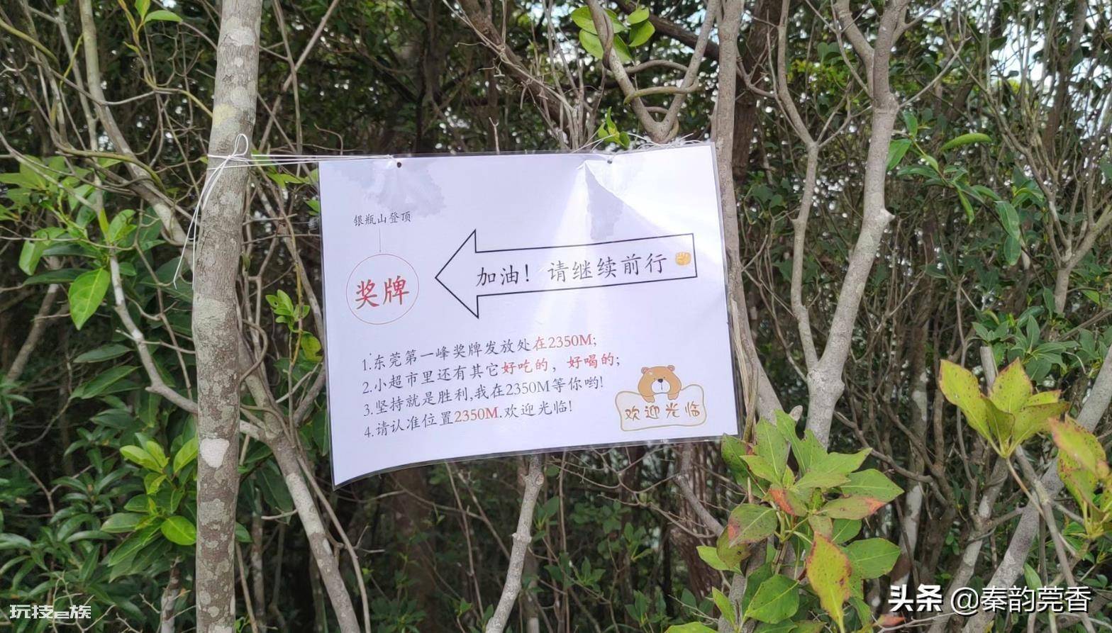 东莞第一高峰是什么山(分享登顶银瓶山的爬山攻略)-图片9